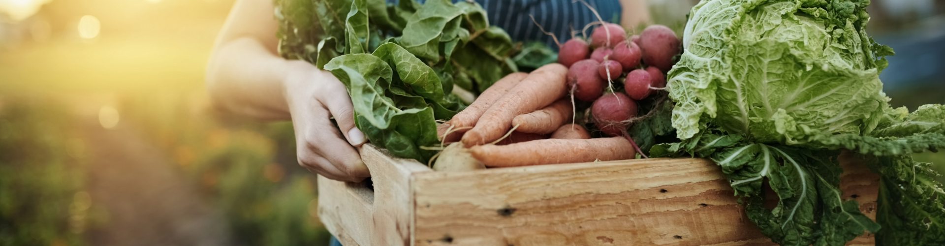 Finanziamento CONDUZIONE AGRI BIO